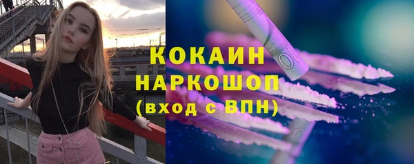 гашик Инта