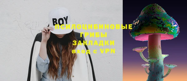 mdpv Иннополис