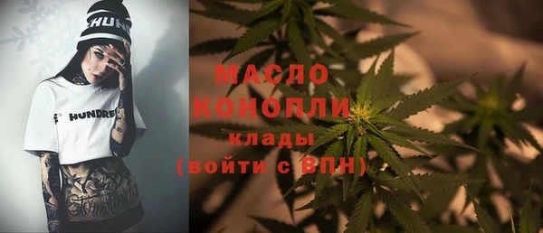 гашик Инта