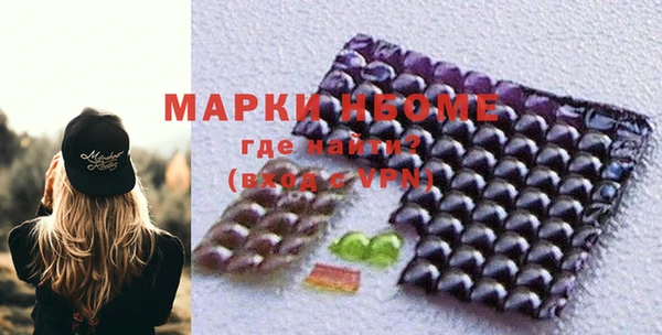 гашик Инта
