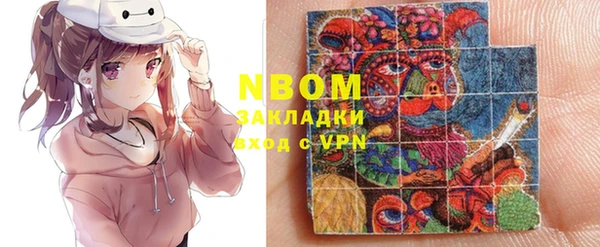 гашик Инта